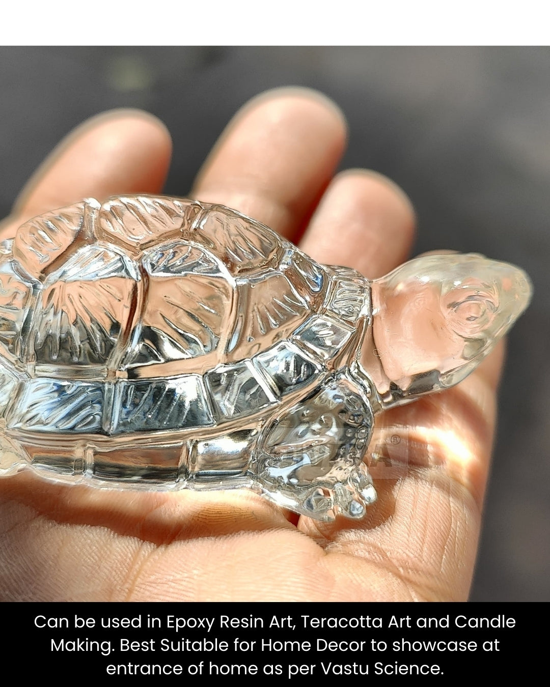 3D Turtle Mould