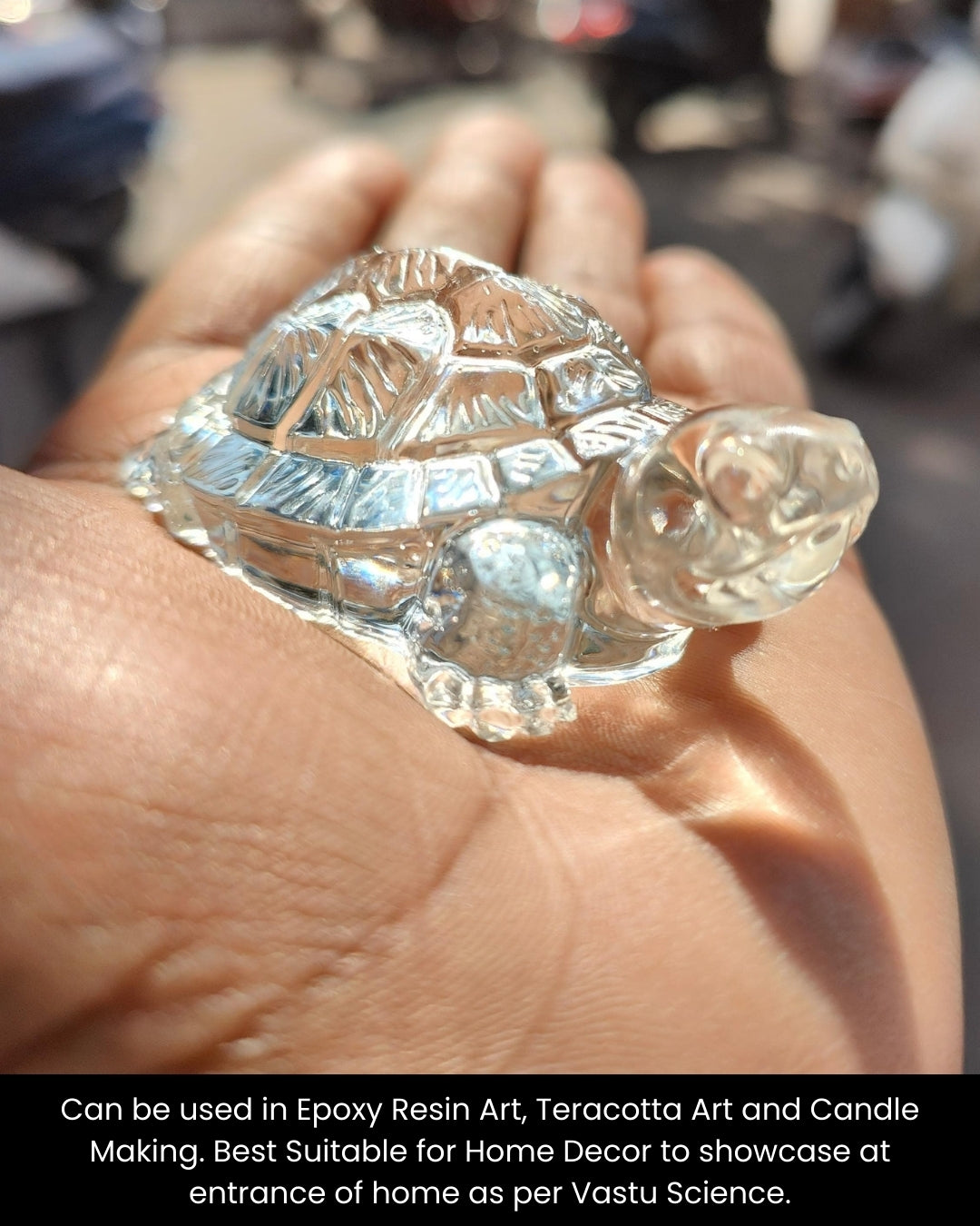 3D Turtle Mould