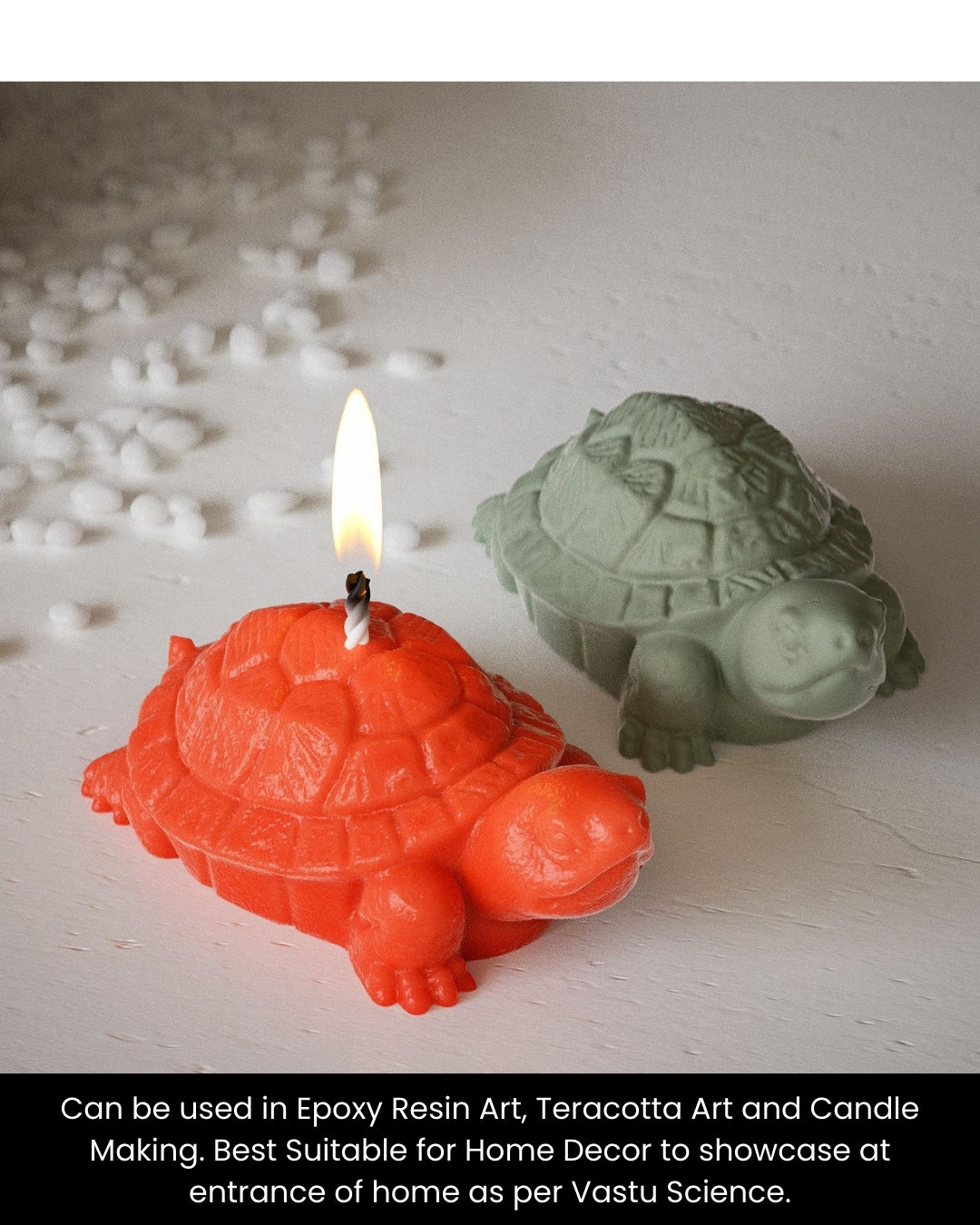 3D Turtle Mould