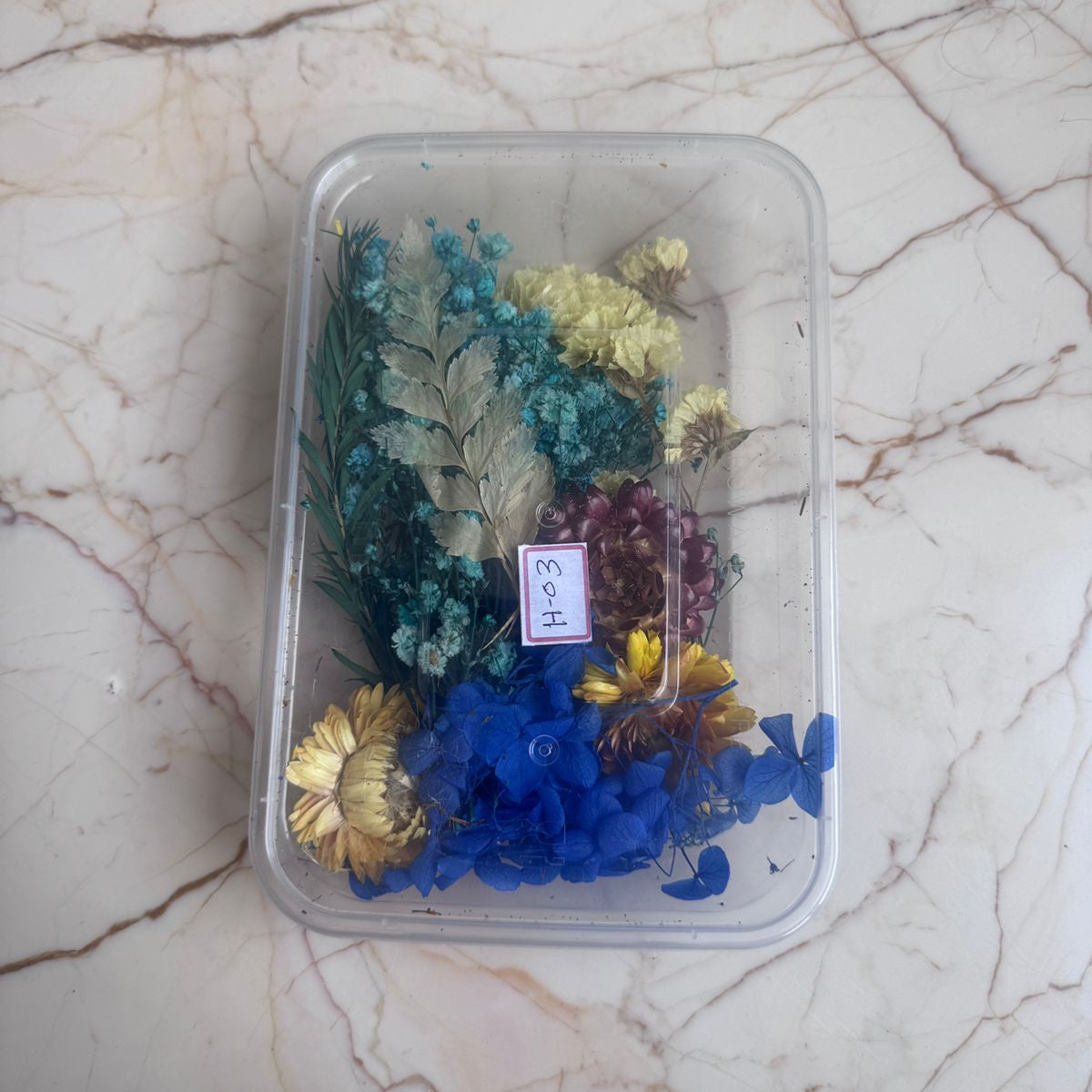 Colorful dried flowers in a clear plastic container on a marble surface