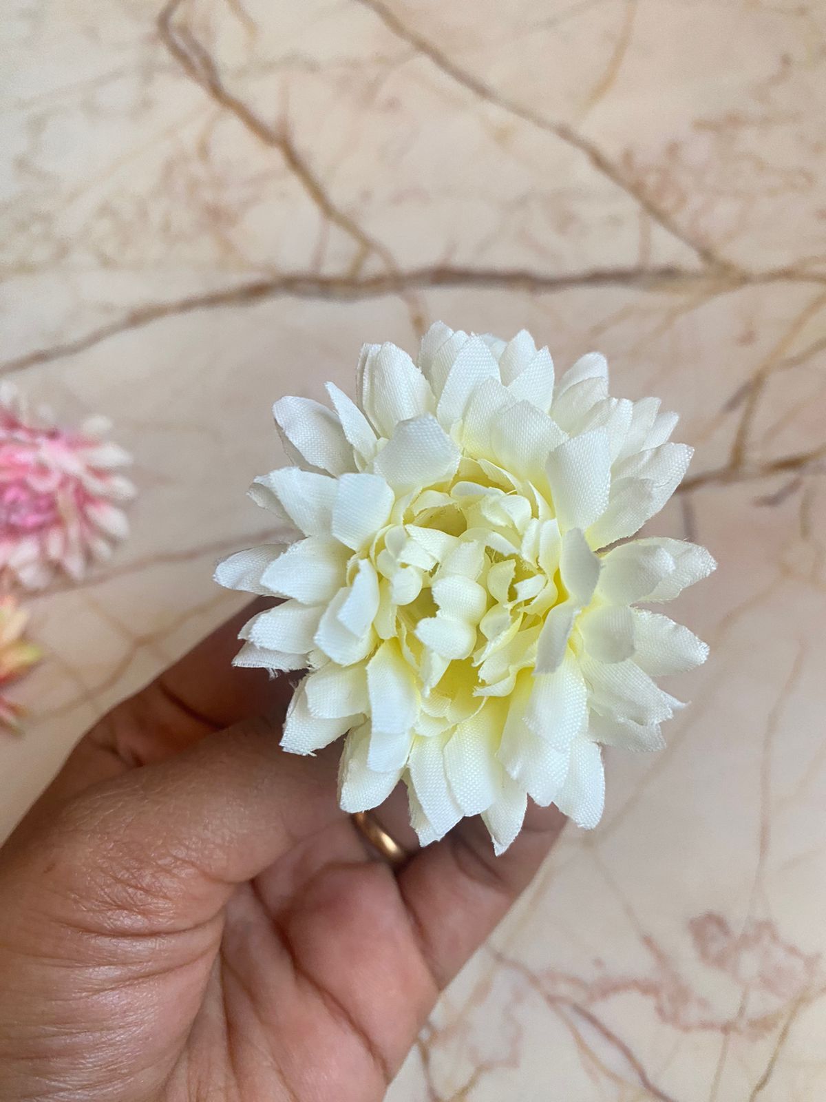 डहलिया पिन्नाटा 3डी फूल