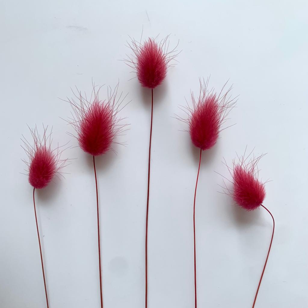 Small Bunny Tail Flower - Pink