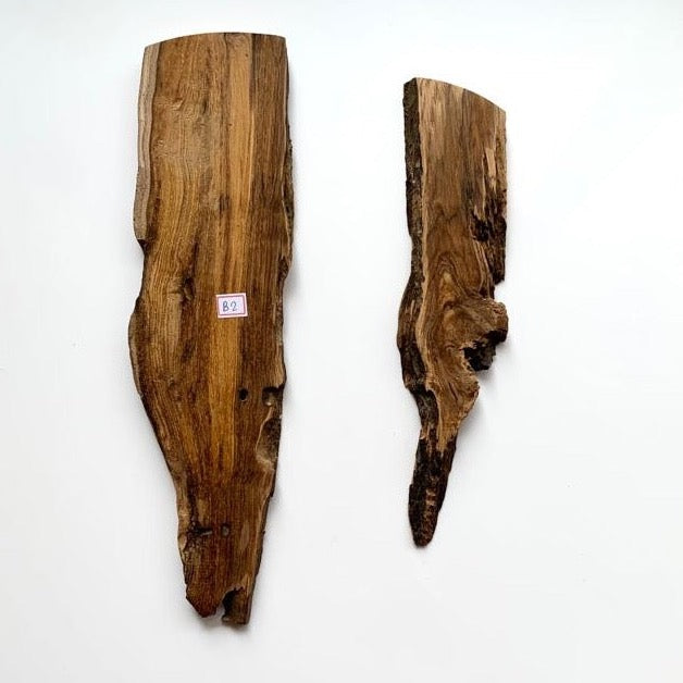 Sagwan Wood for 16 inch Mould