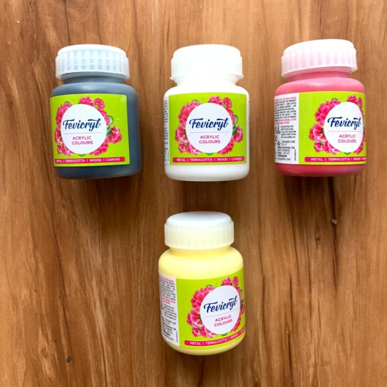Fevicryl Acrylic painting Colors - 100ml