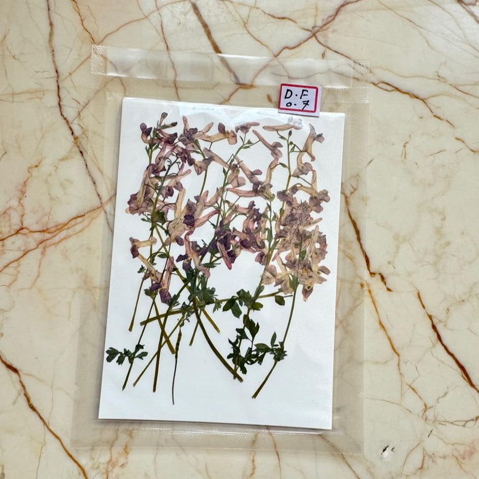 Pressed Flower DF-07