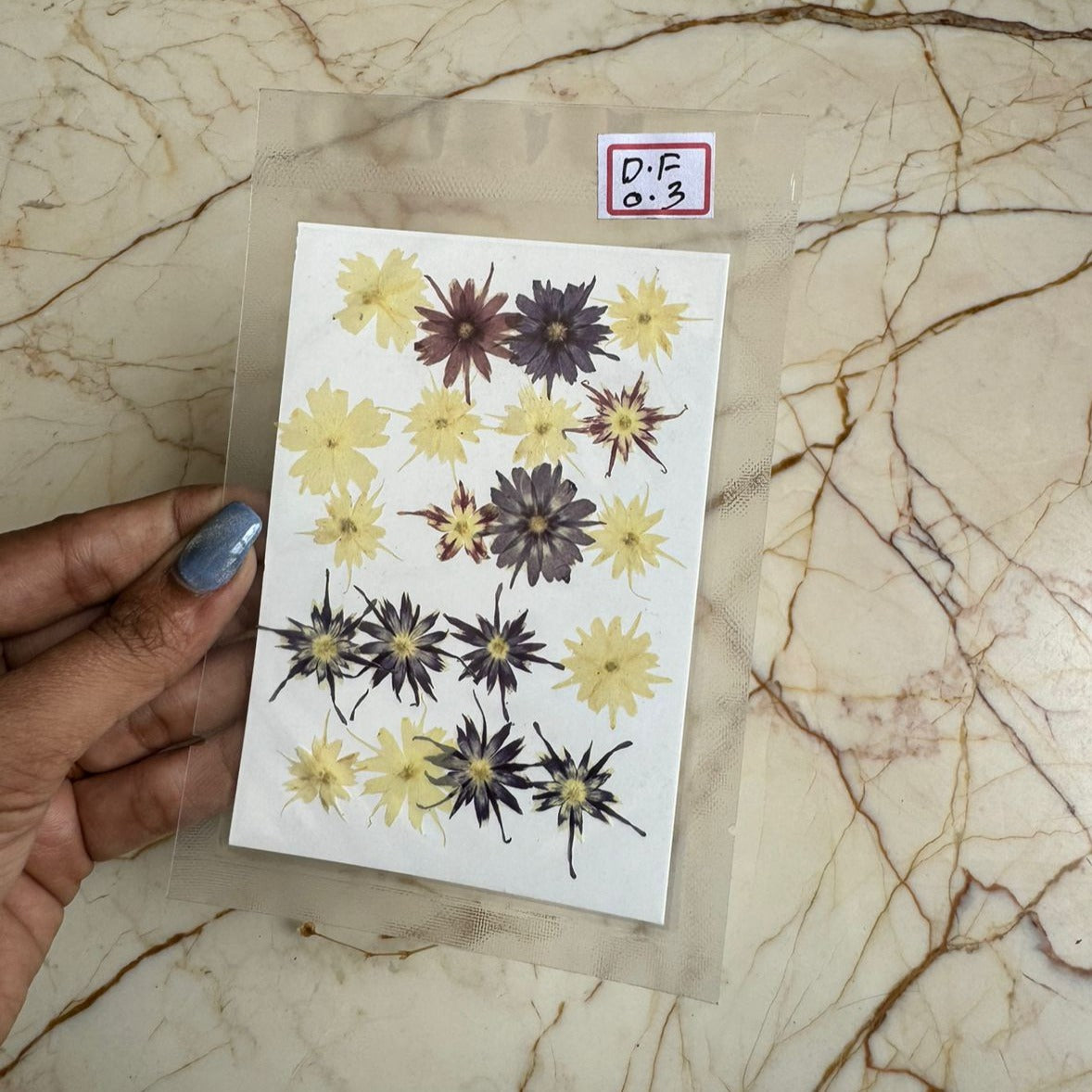 Pressed Flower DF-03