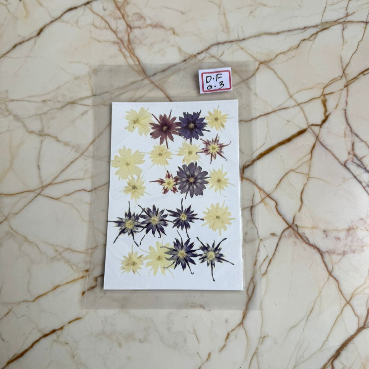 Pressed Flower DF-03