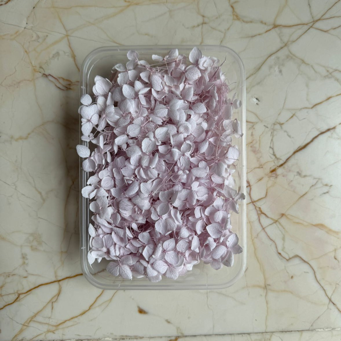 Hydrangea Flower Box - A12