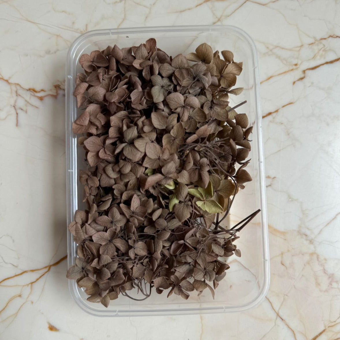 Hydrangea Flower Box - A15