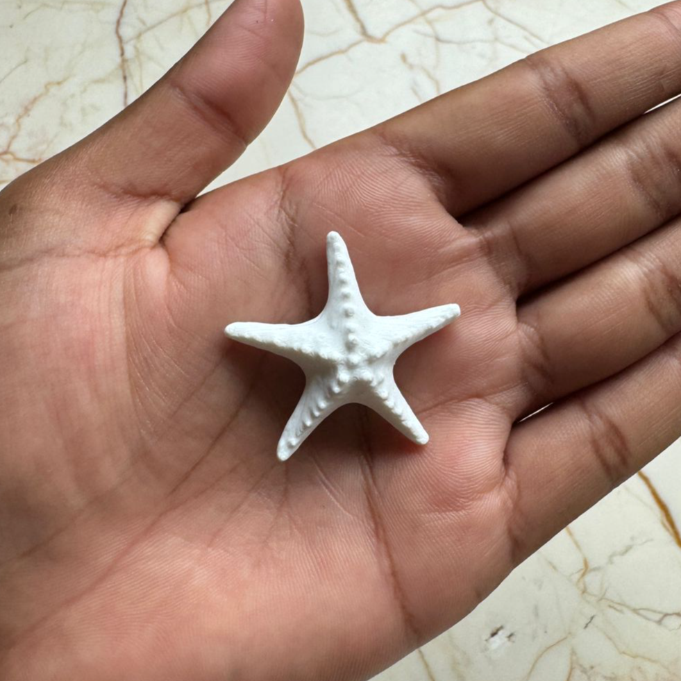 Plastic 3D Star Fish
