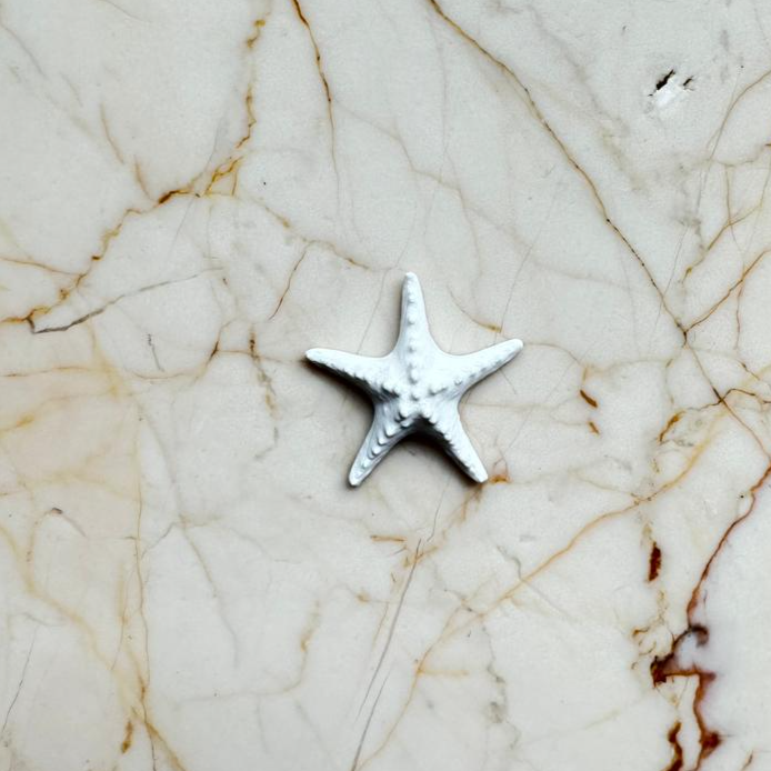 Plastic 3D Star Fish