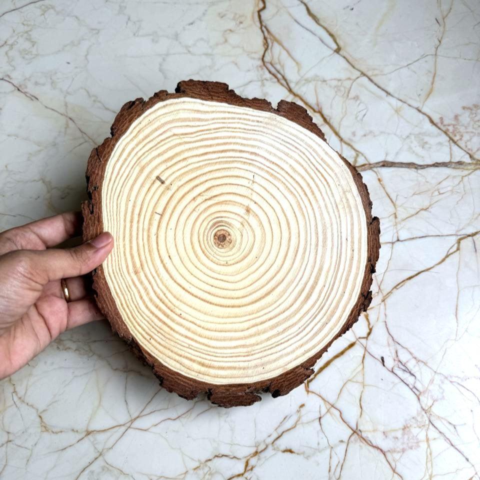 Natural Wood Log - Medium