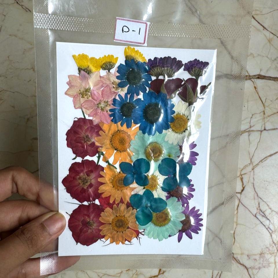 Pressed Flowers - D1
