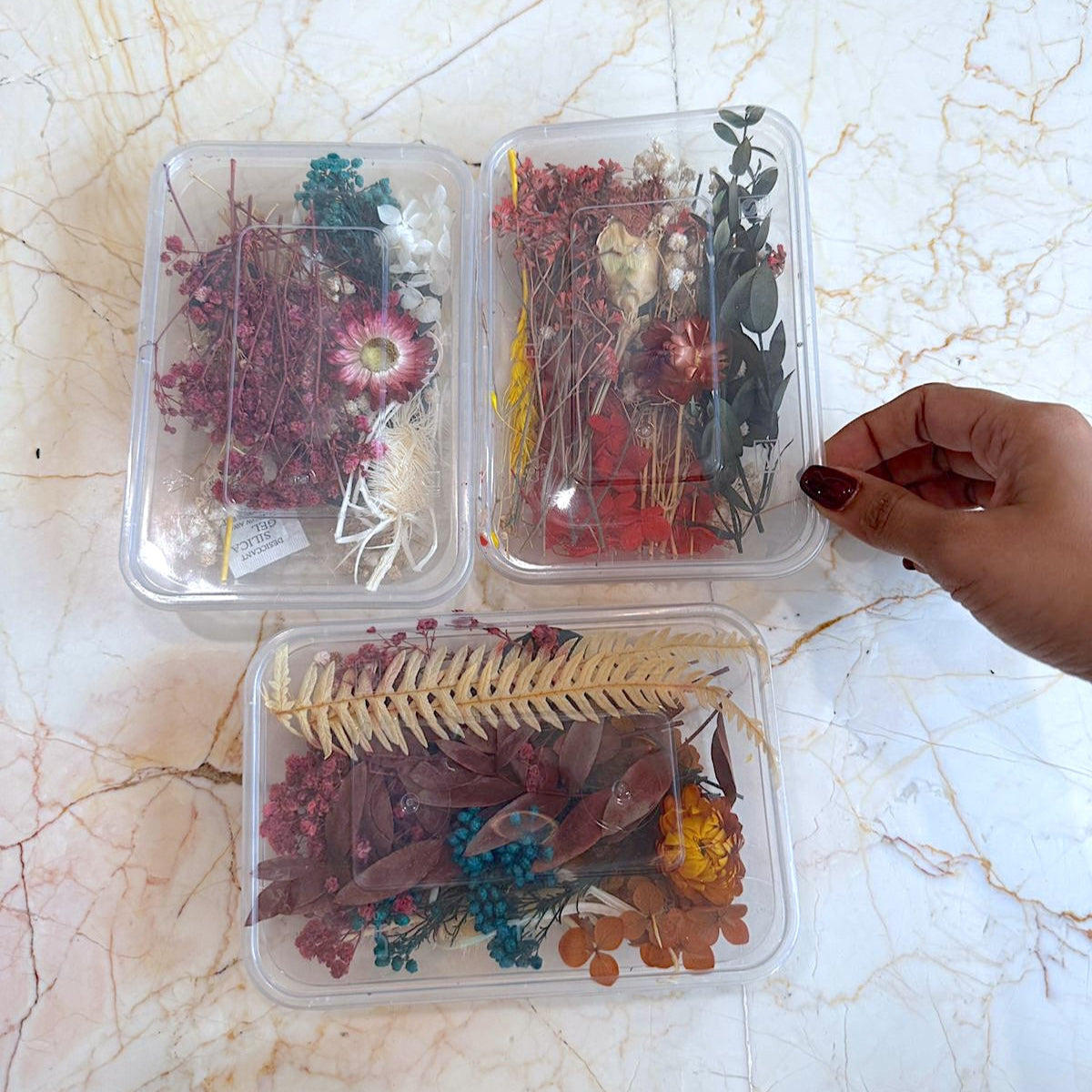 Dry Flower Box - Detash