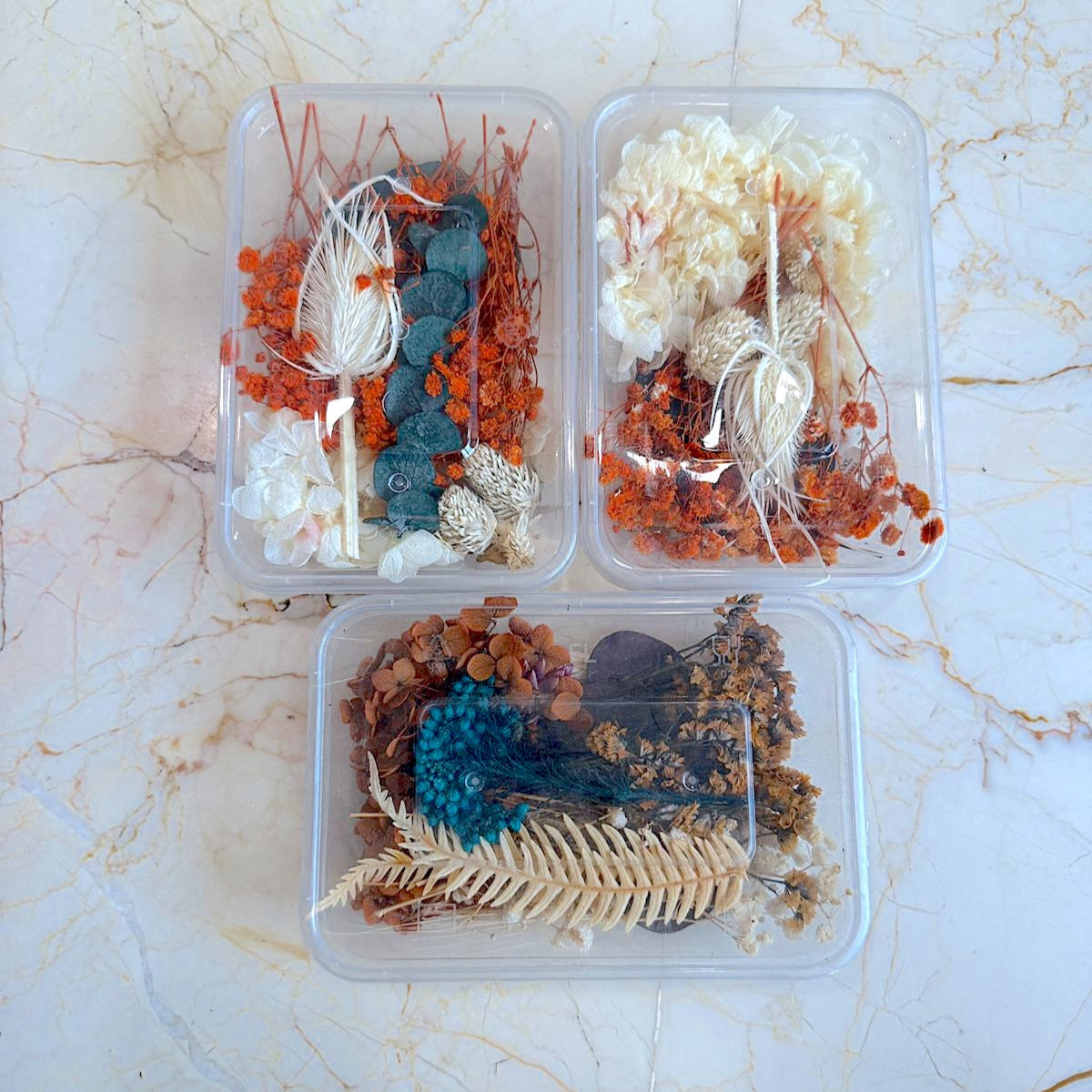 Dry Flower Box - Detash
