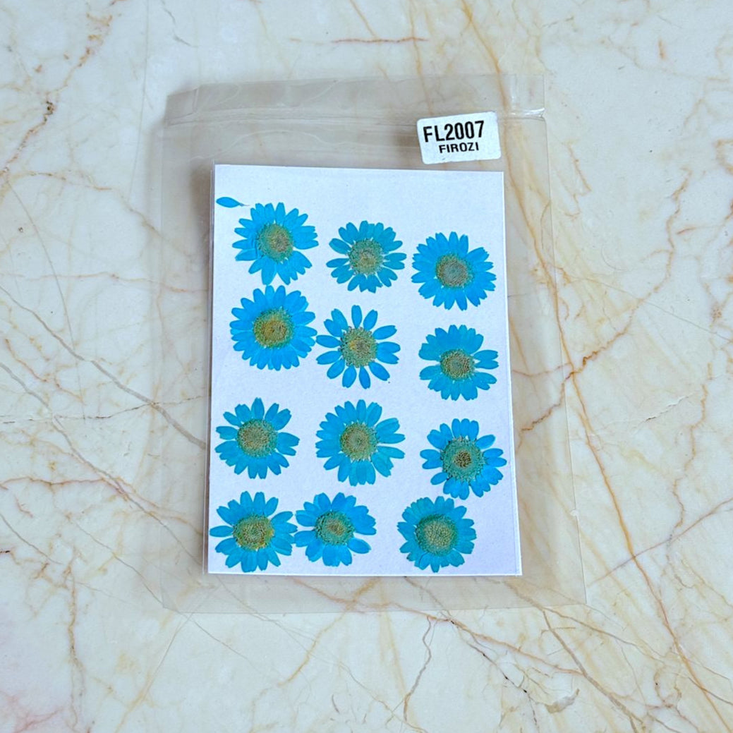 Pressed Daisy Flower Sheet