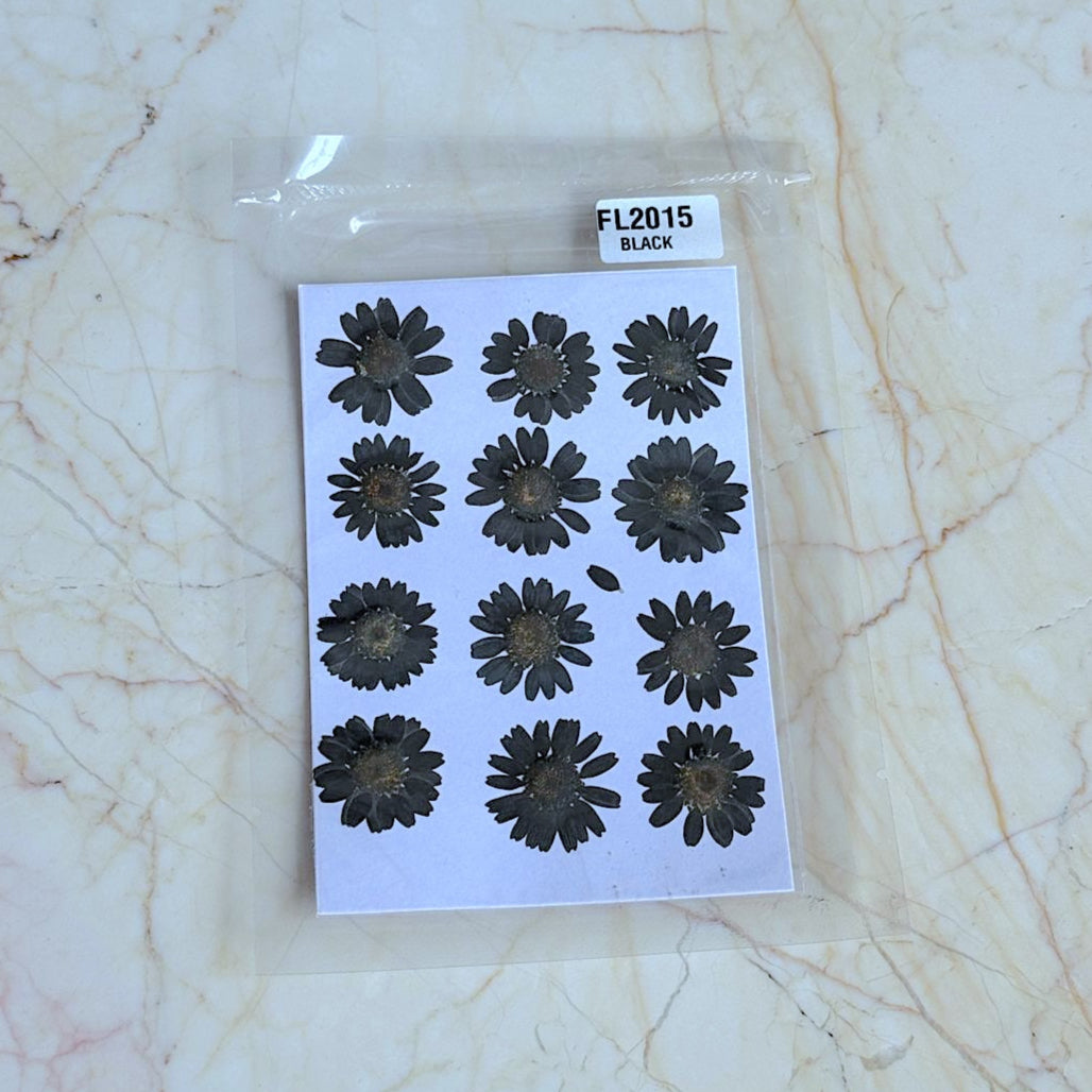 Pressed Daisy Flower Sheet