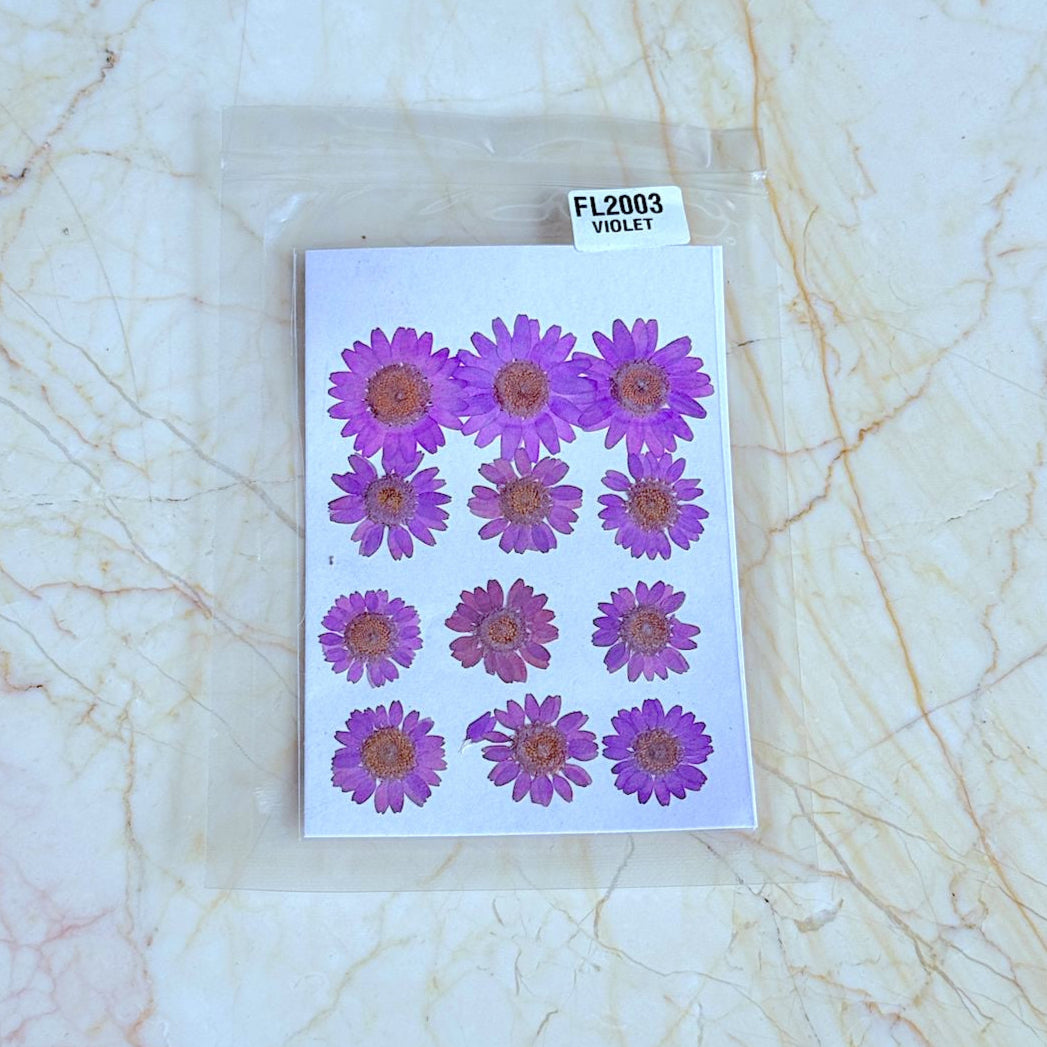 Pressed Daisy Flower Sheet