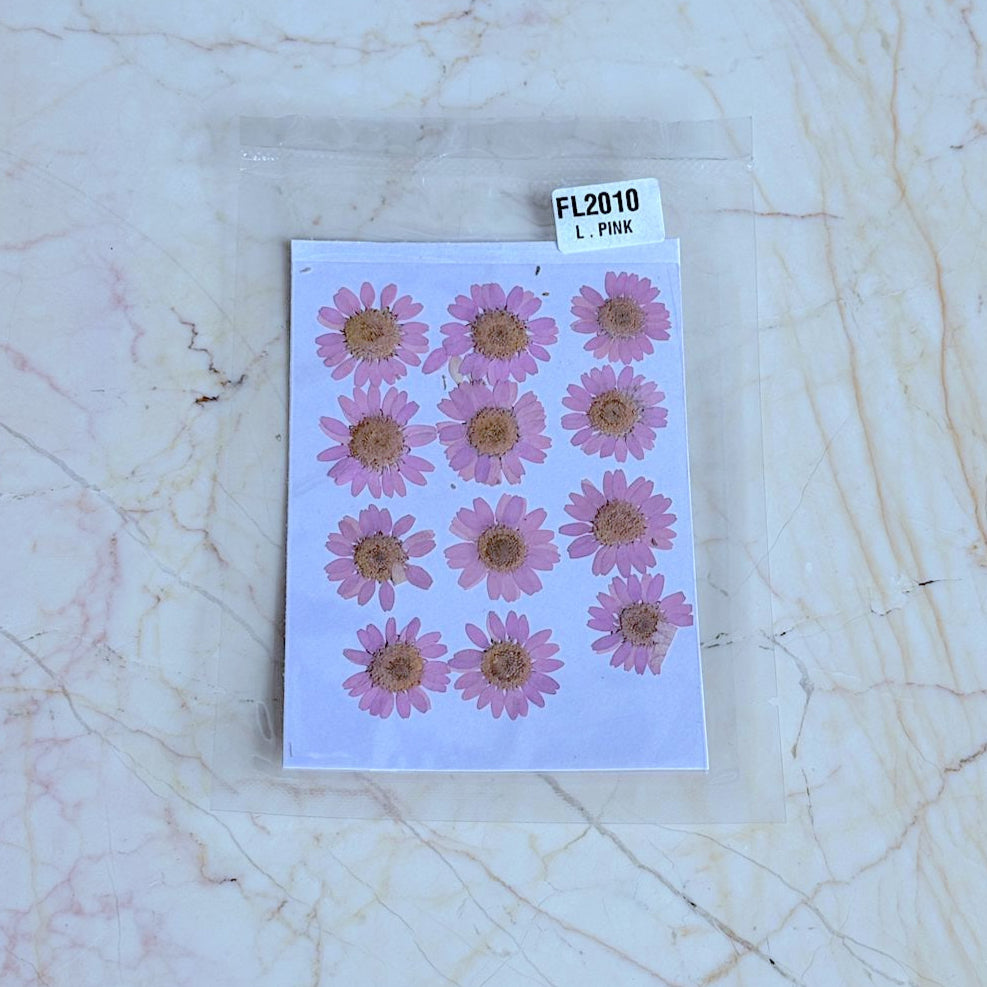 Pressed Daisy Flower Sheet