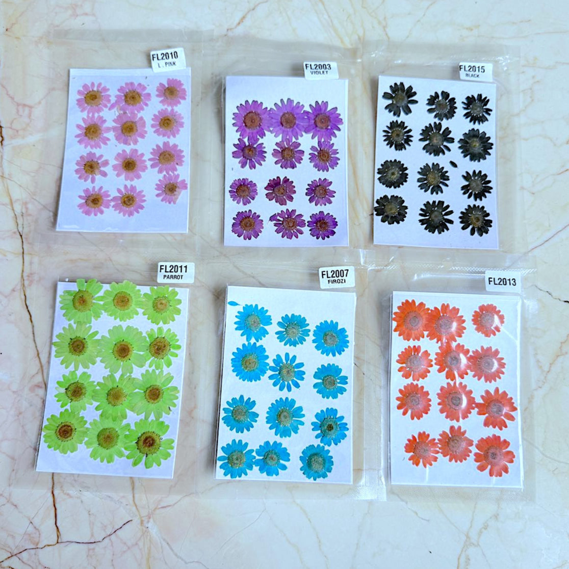 Pressed Daisy Flower Sheet