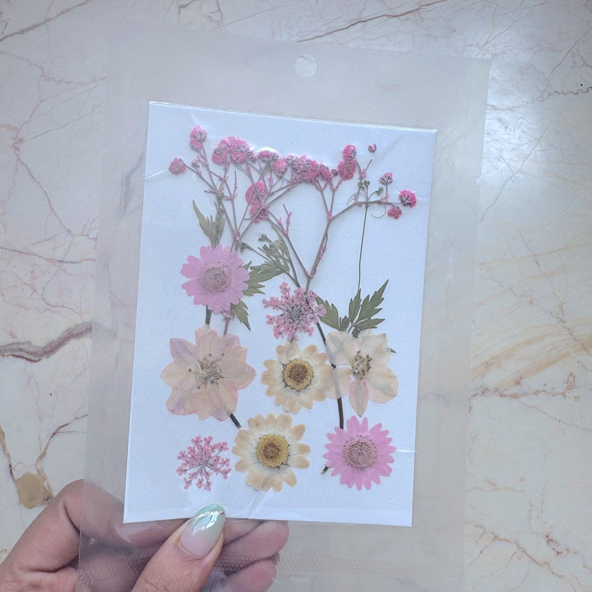 Pressed Flowers - Pink