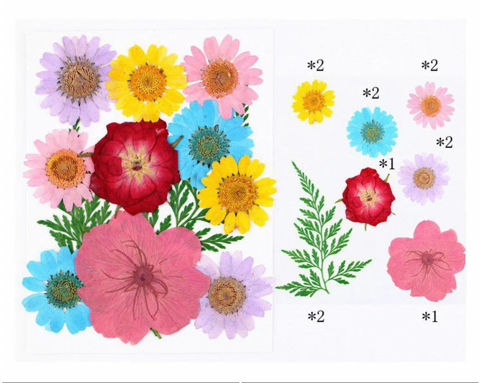 Pressed Flowers - FL024