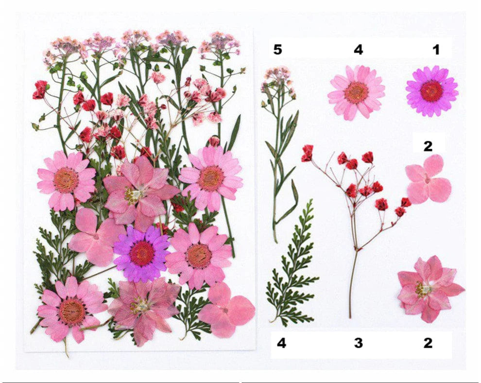 Pressed Flowers - FL049