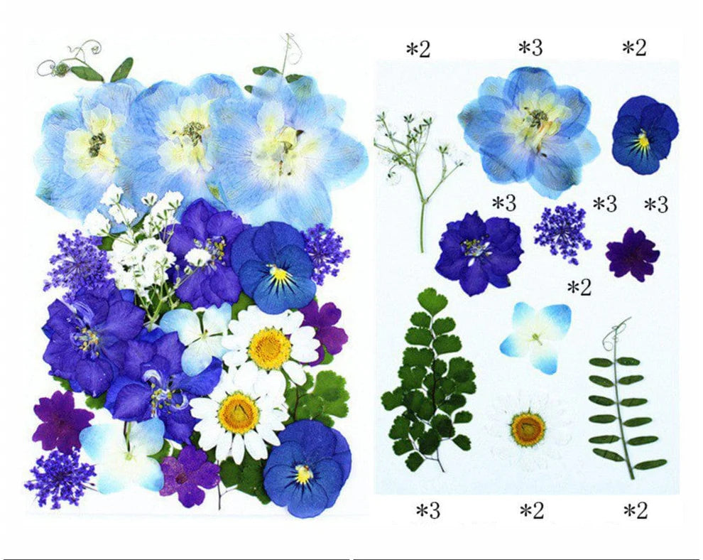 Pressed Flowers - FL073