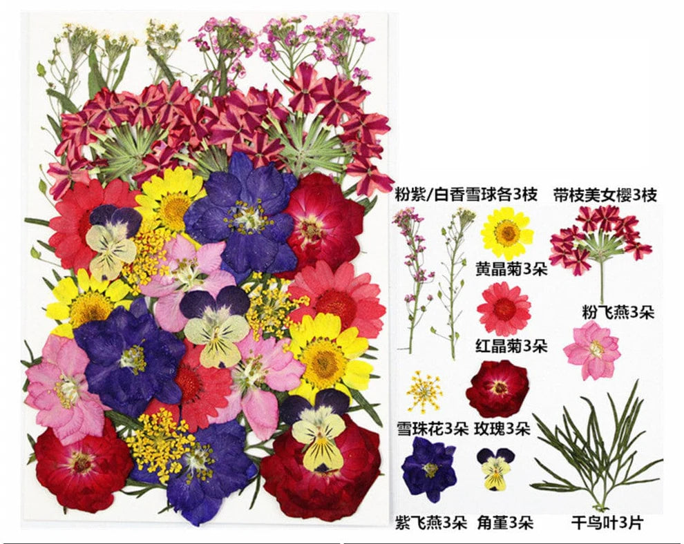 Pressed Flowers - FL096
