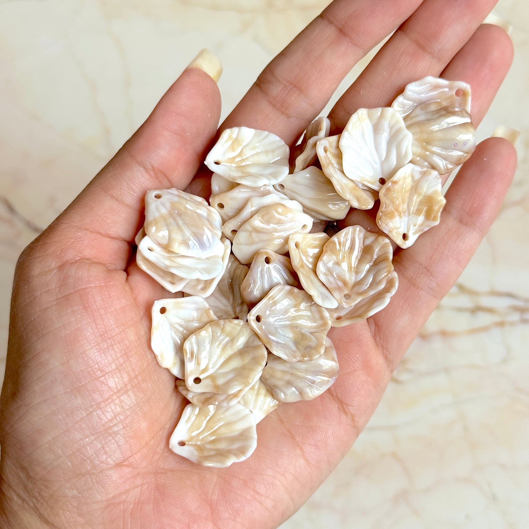 shells charm