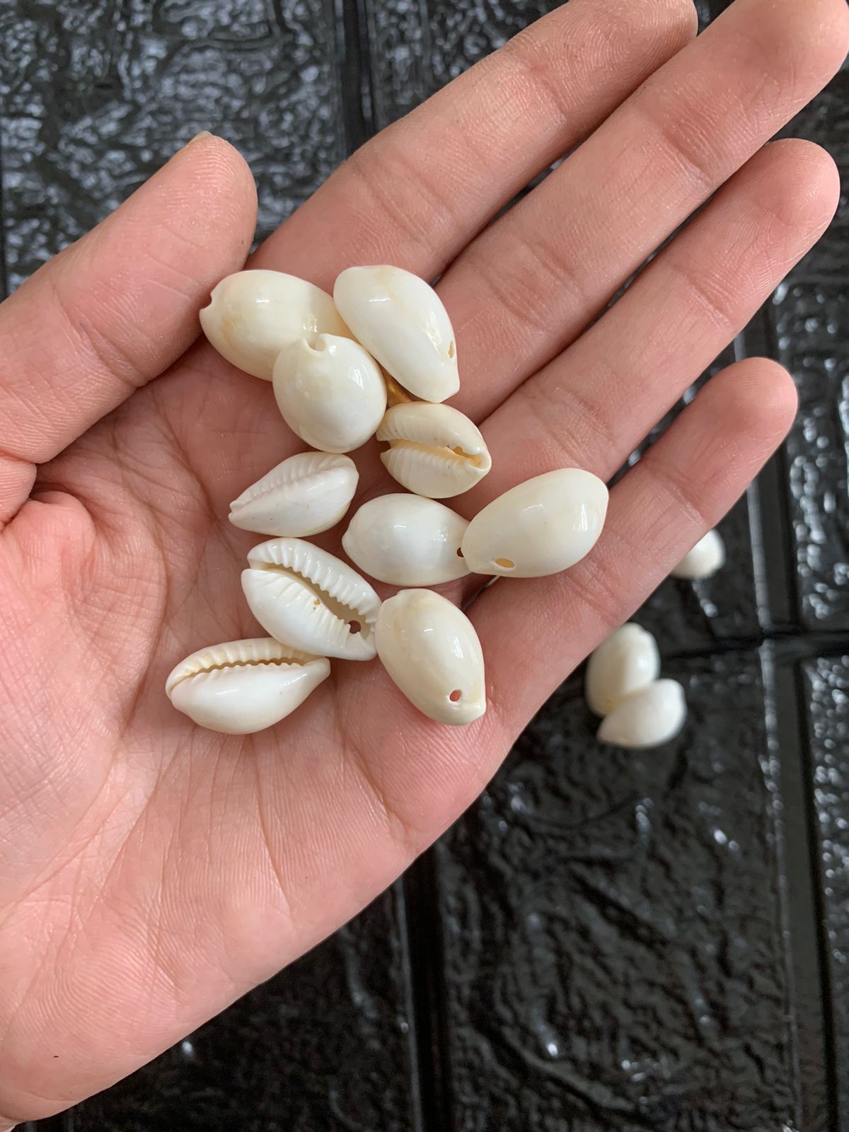 Cowrie Beads - Off white