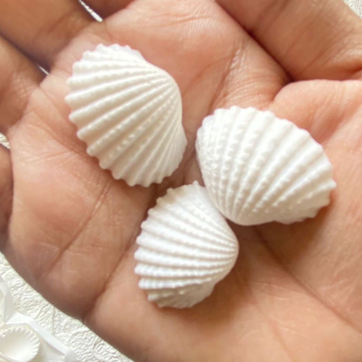 Big Seep Shells