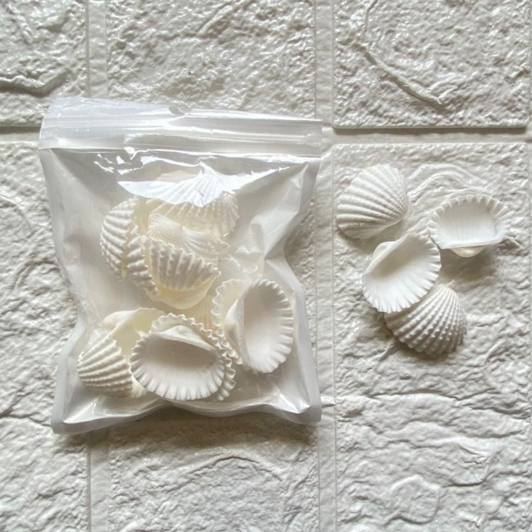 Big Seep Shells