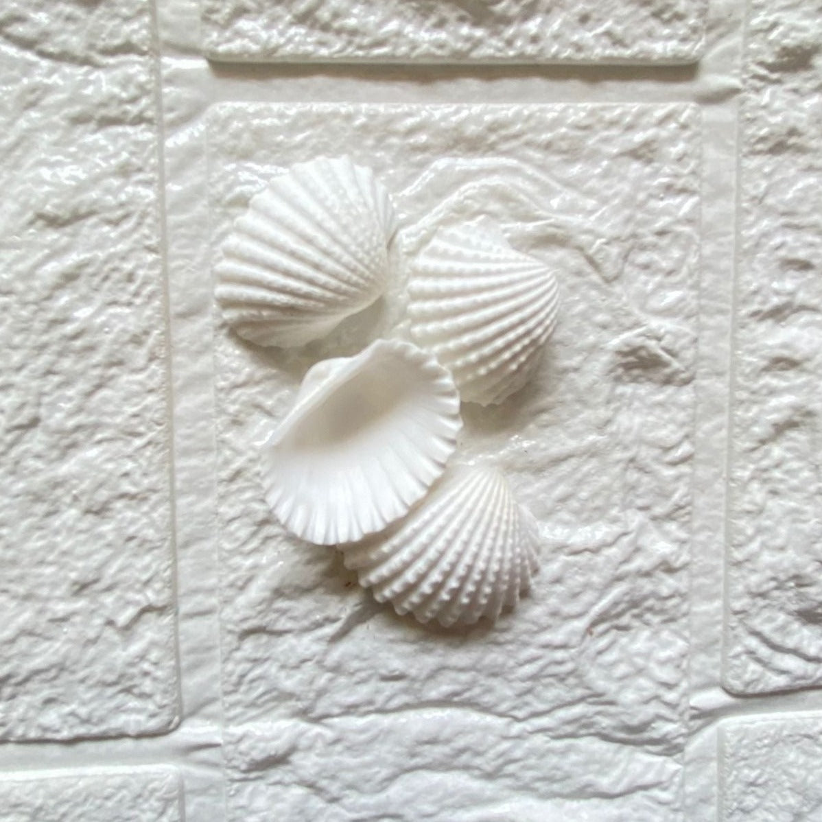 Big Seep Shells